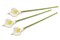 CC Home Furnishings Set of 3 White Artificial Long Stem Calla Lilies 26"